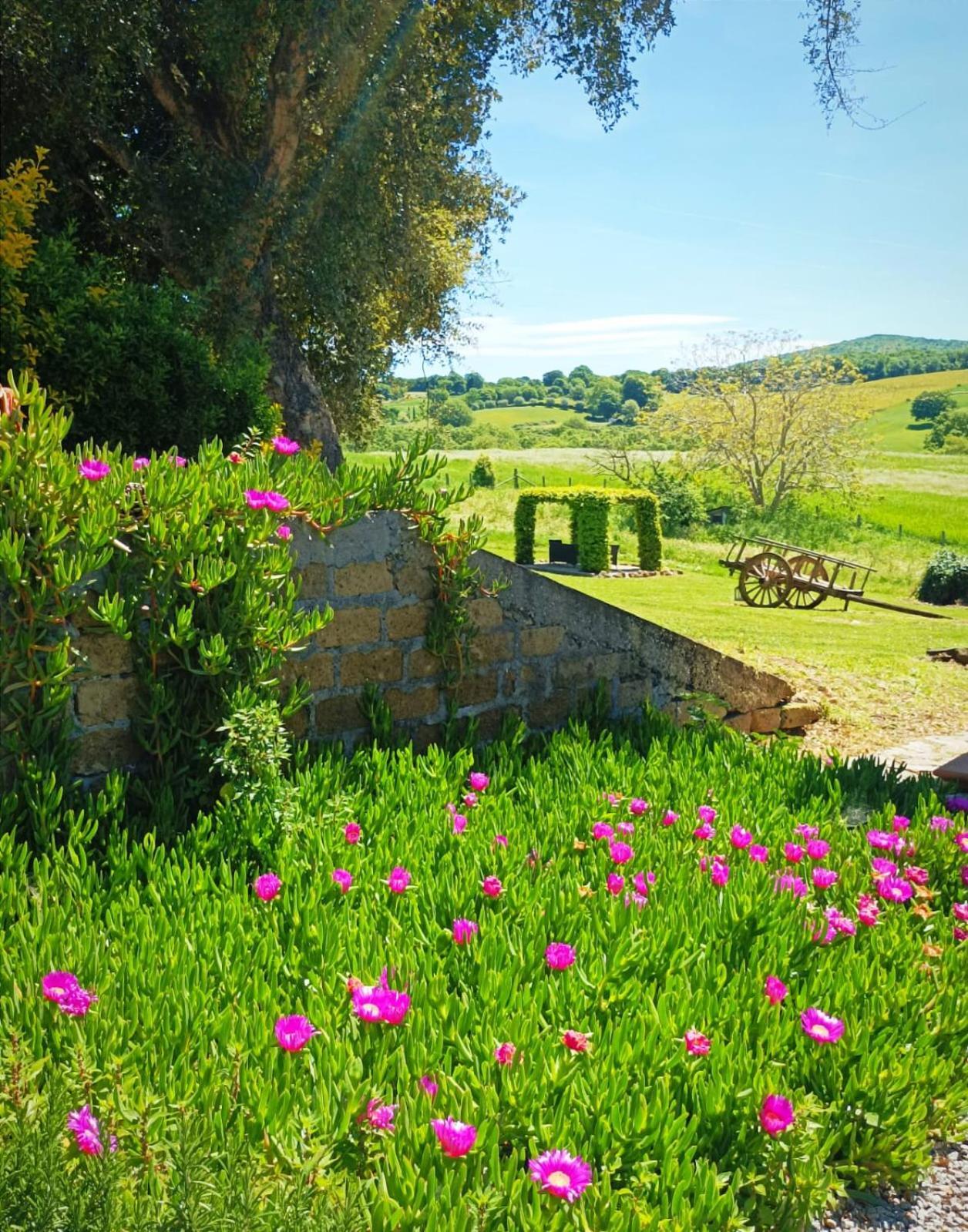 B&B Borgo Vera Manciano Exteriér fotografie